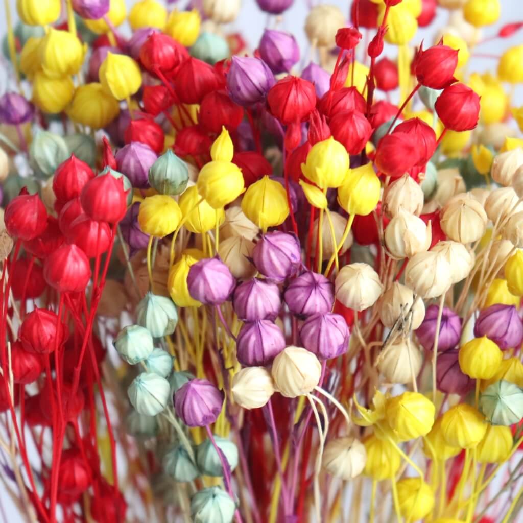 Sušený len – velikonoční mix, jarní dekorace ze sušených květin